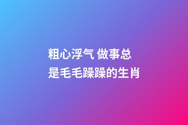 粗心浮气 做事总是毛毛躁躁的生肖
